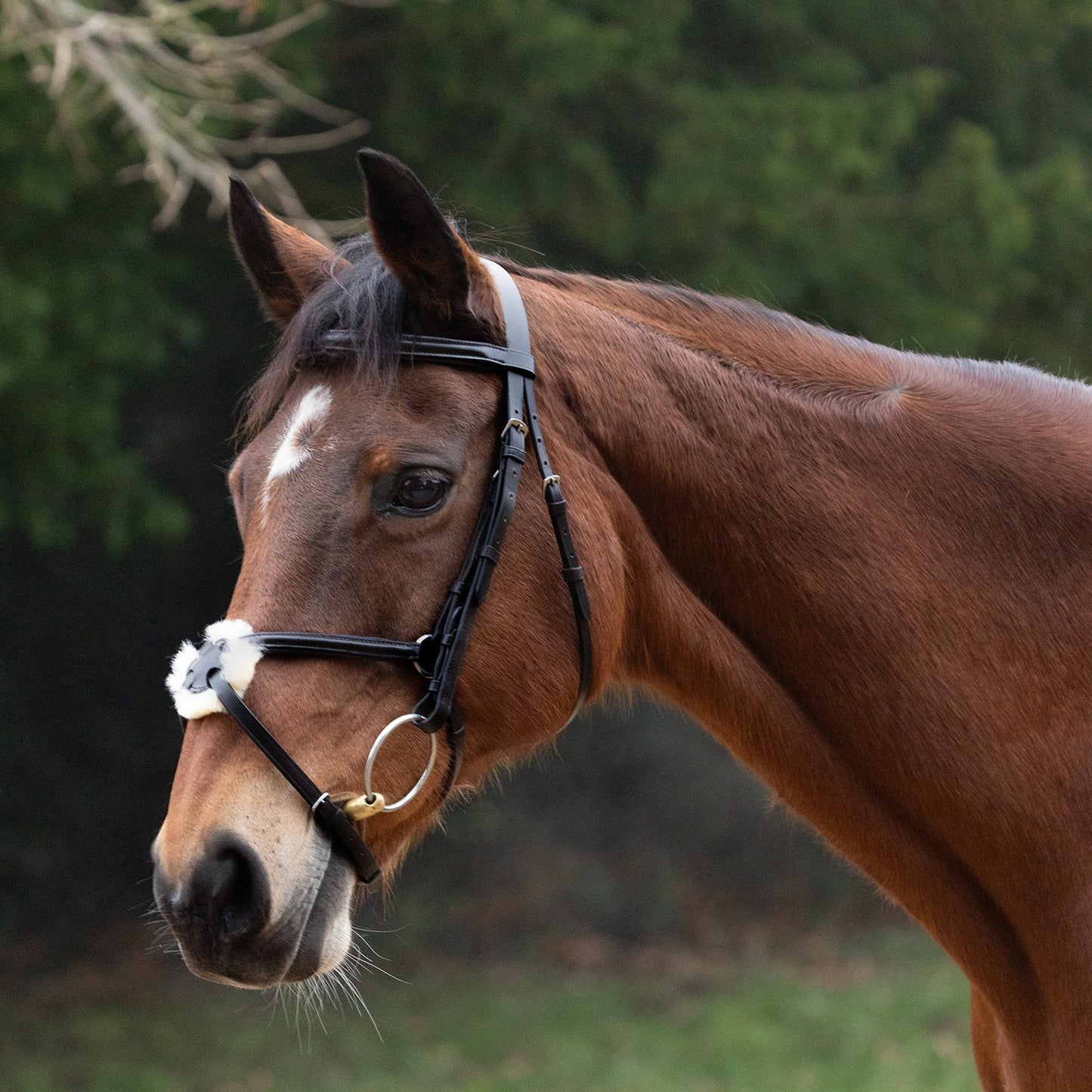 Hy Equestrian Mexican Grackle Bridle with Rubber Grip Reins Black - Cob