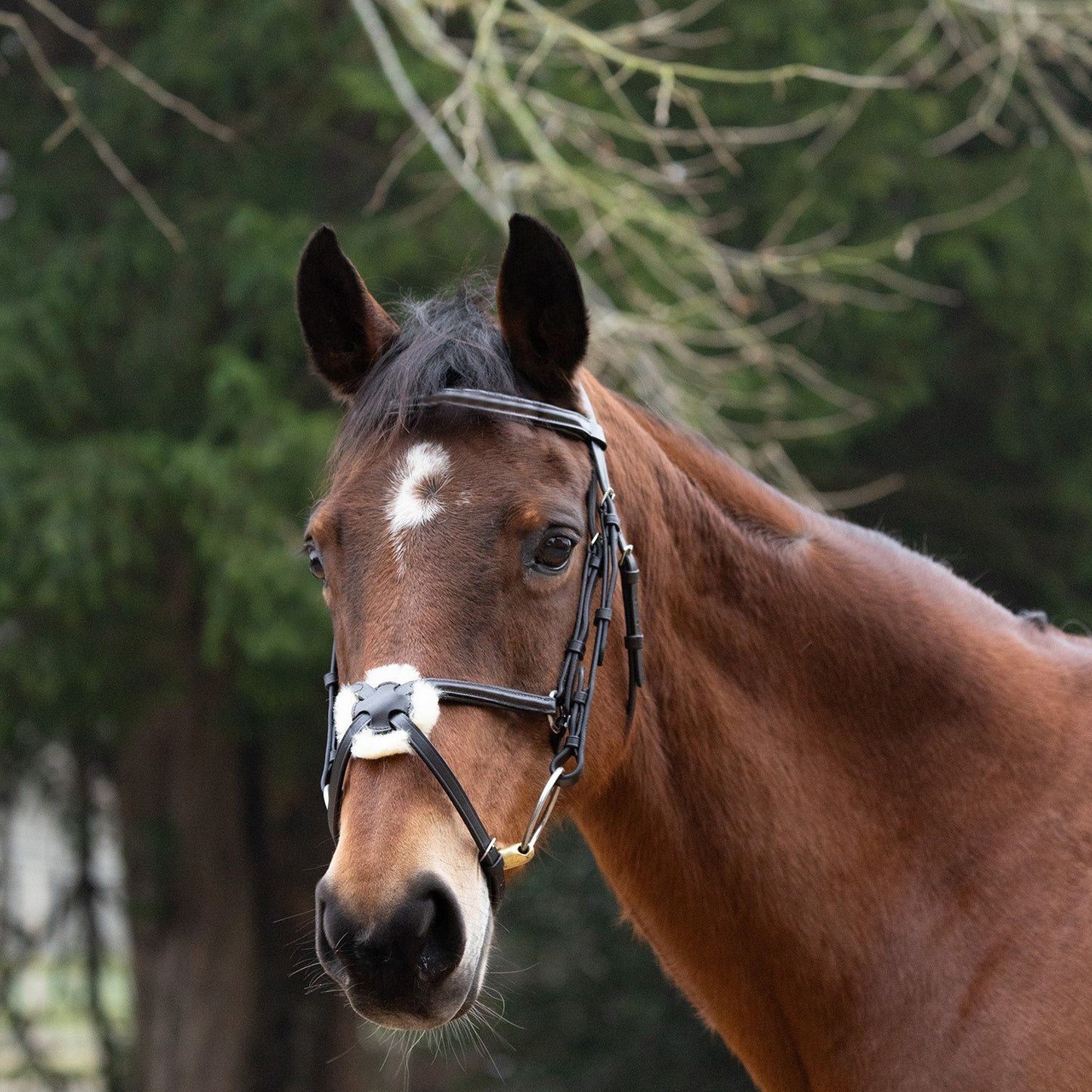 Hy Equestrian Mexican Grackle Bridle with Rubber Grip Reins Brown - Full