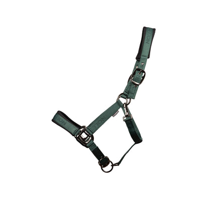 ProReaction Transform Headcollar