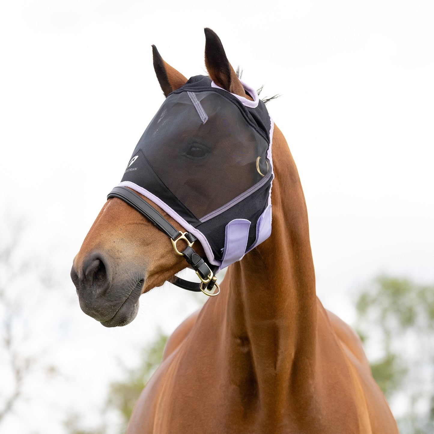 Hy Equestrian Mesh Half Mask without Ears Black/Lilac - Small Pony