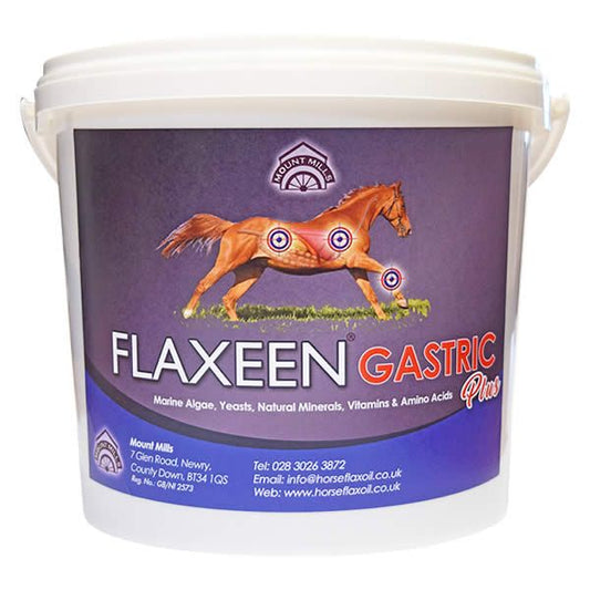 Mount Mills Flaxeen Gastric Plus