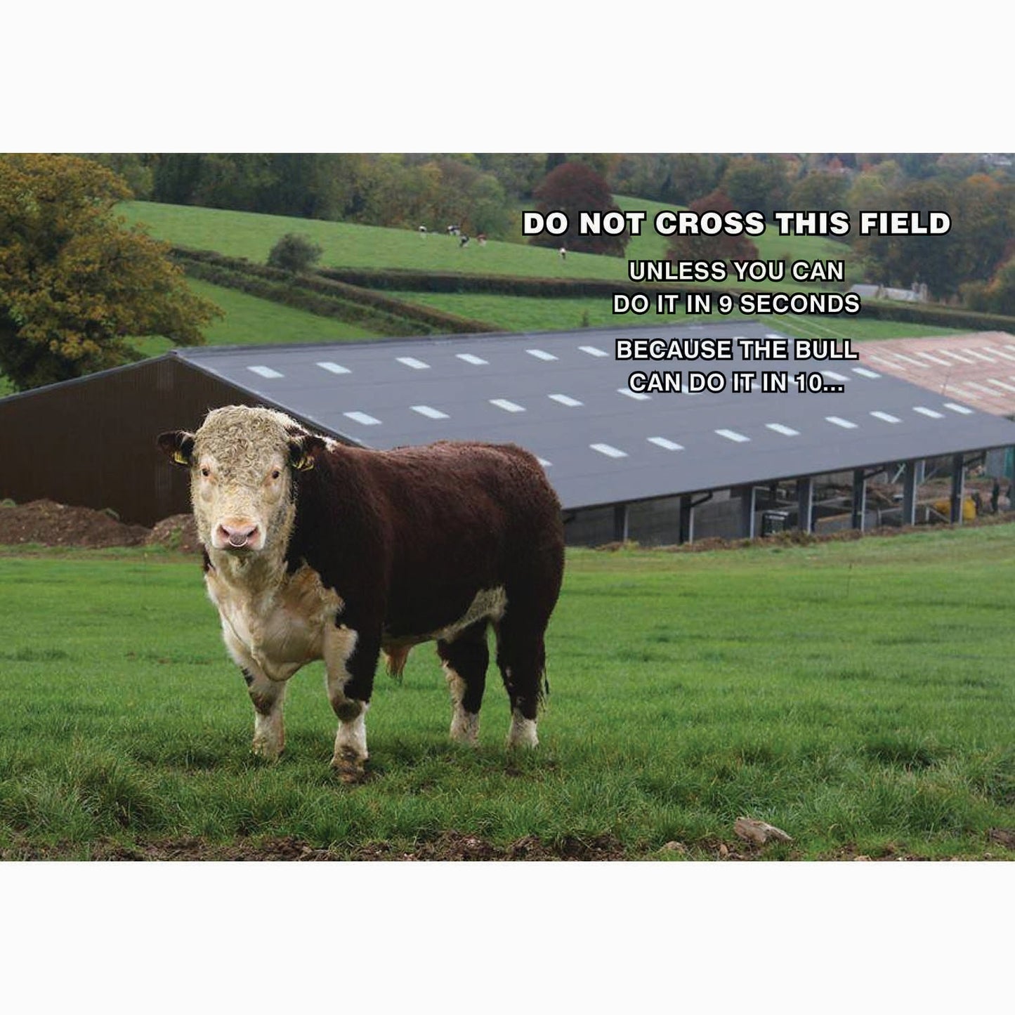 Kevin Milner Countryside Cards Do Not Cross The Field