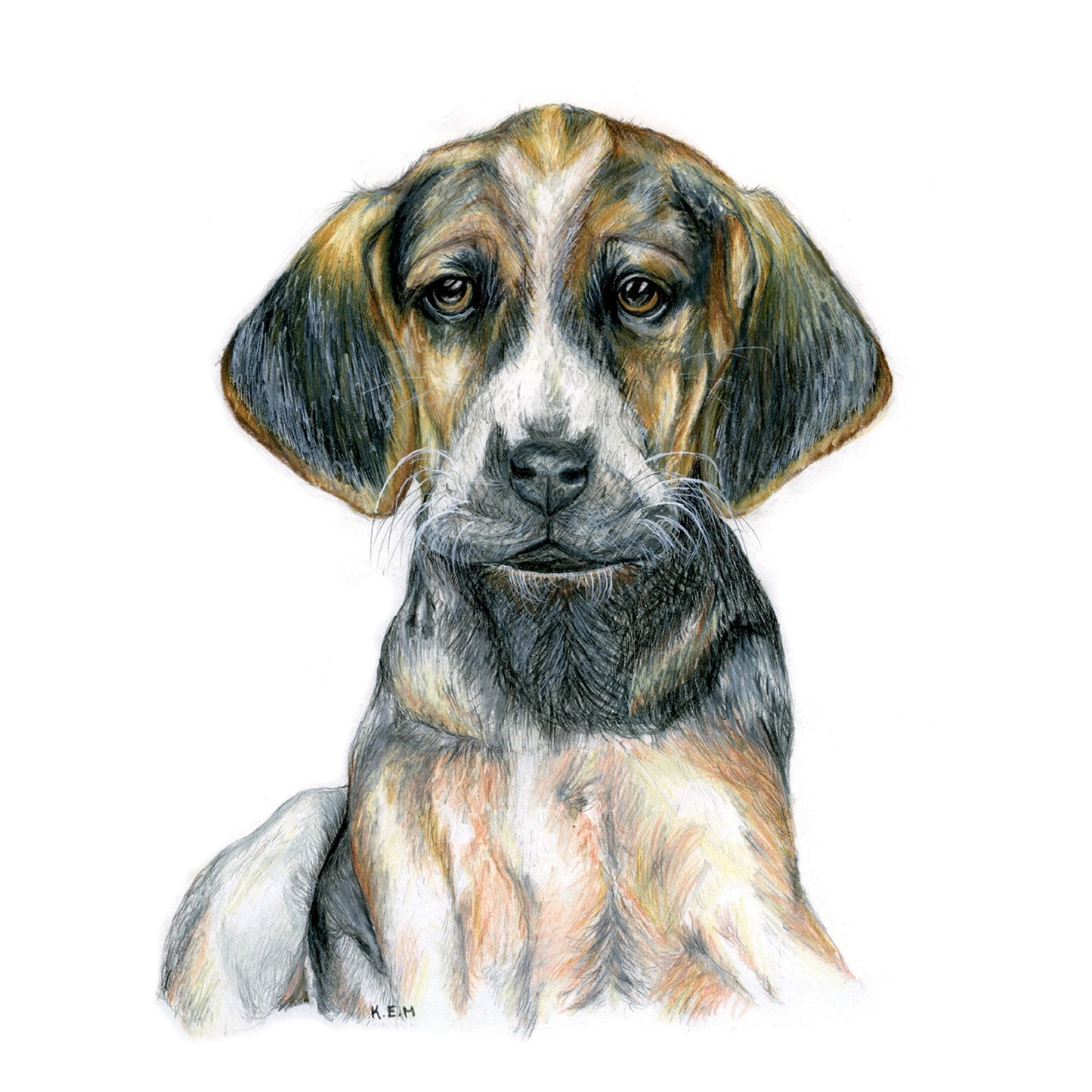 Kevin Milner Countryside Cards Hound Puppy Art