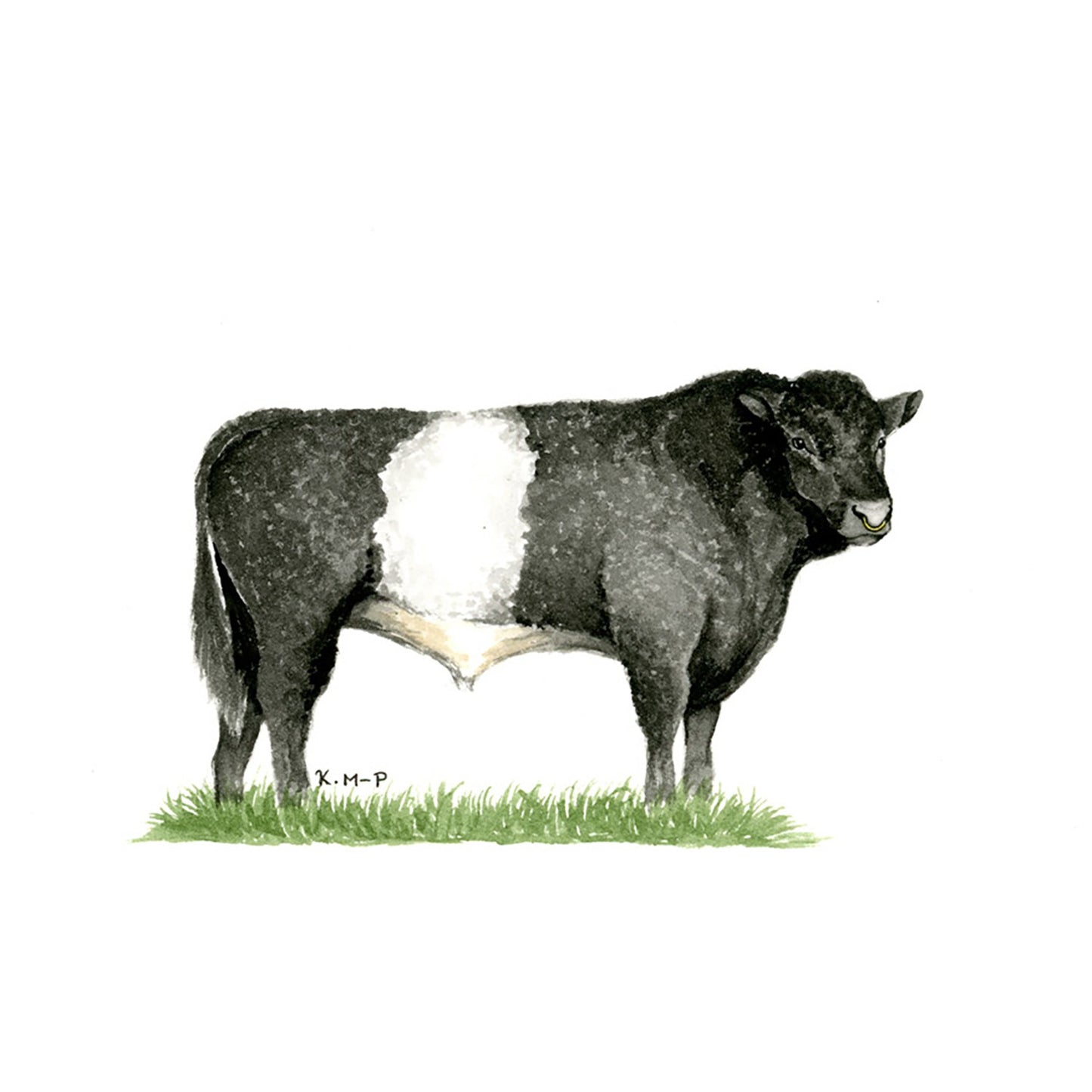 Kevin Milner Countryside Cards Belted Galloway