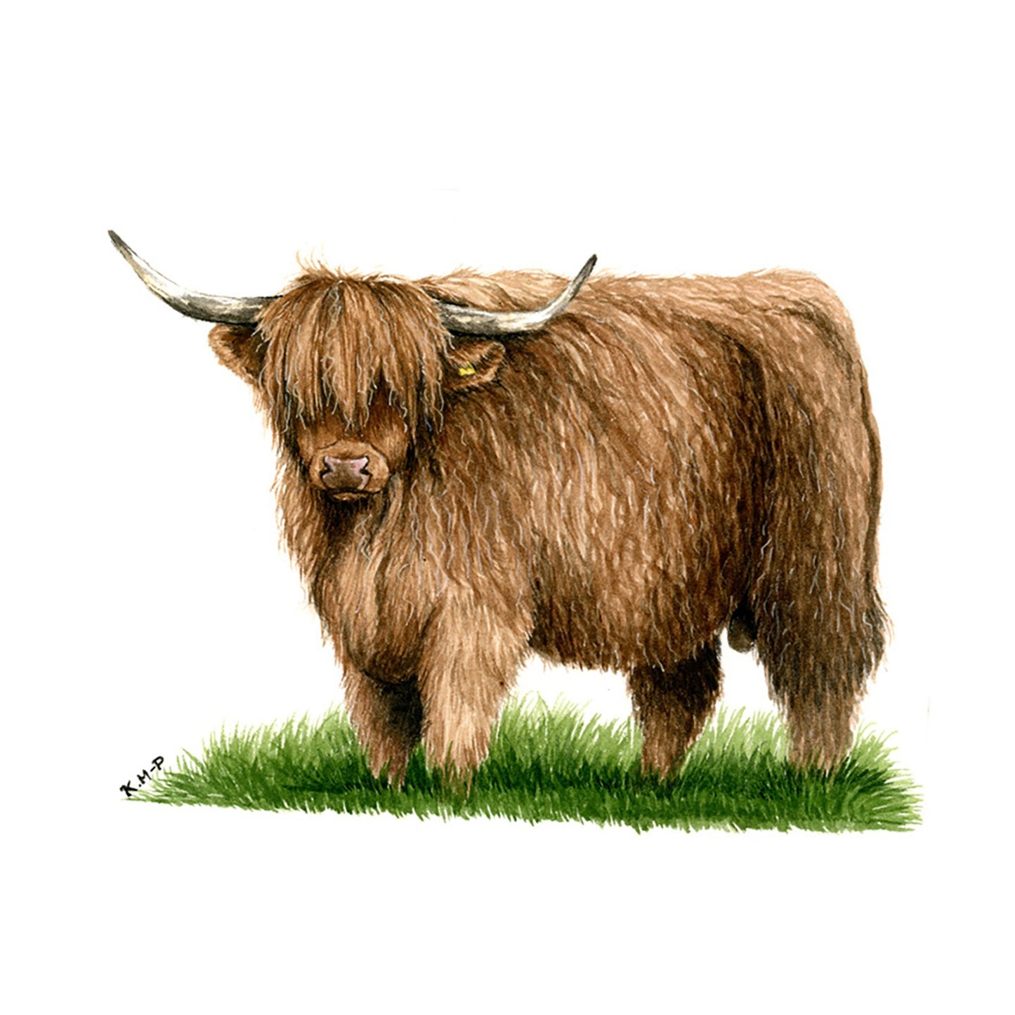 Kevin Milner Countryside Cards Highland Bull