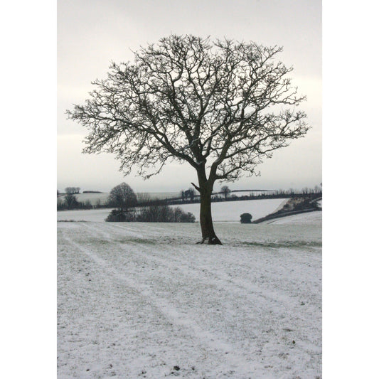 Kevin Milner Christmas Card - Cope Farm Tree
