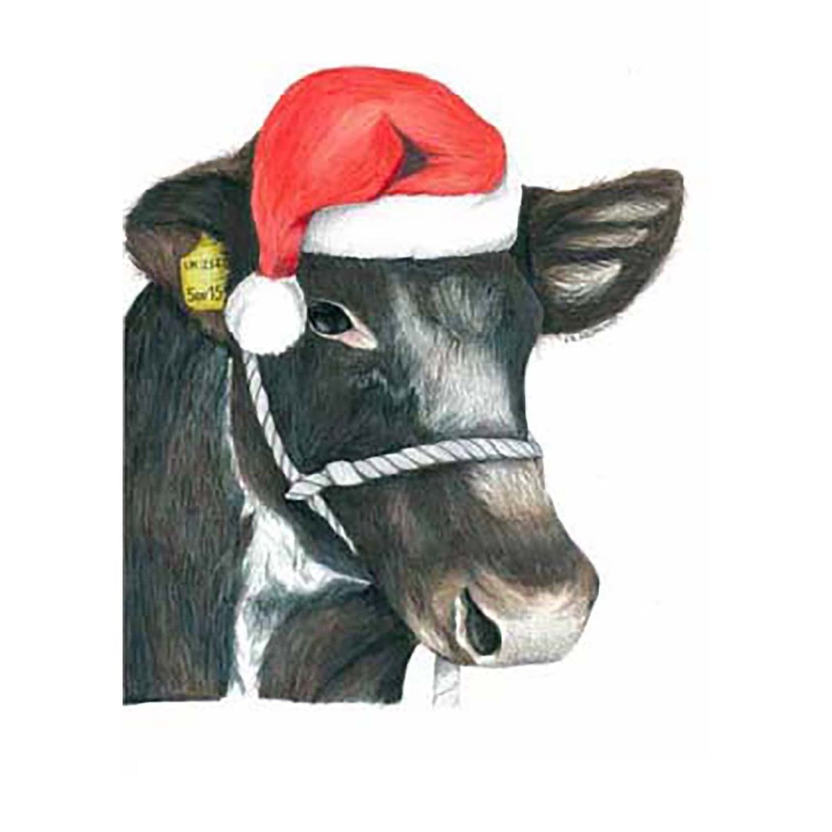 Kevin Milner Christmas Card - Christmas Shorthorn Cow