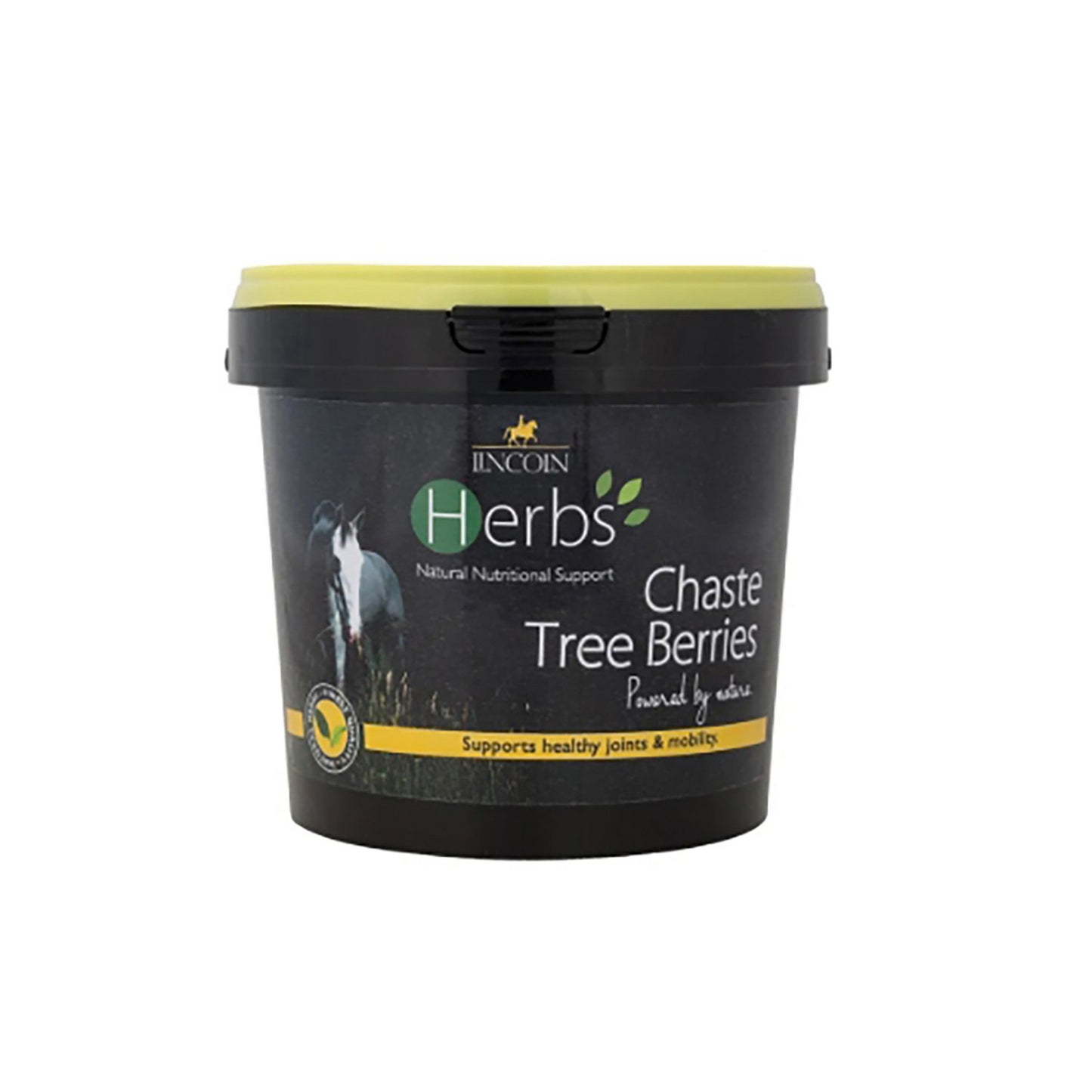 Lincoln Herbs Chaste Tree Berry - 600 Gm