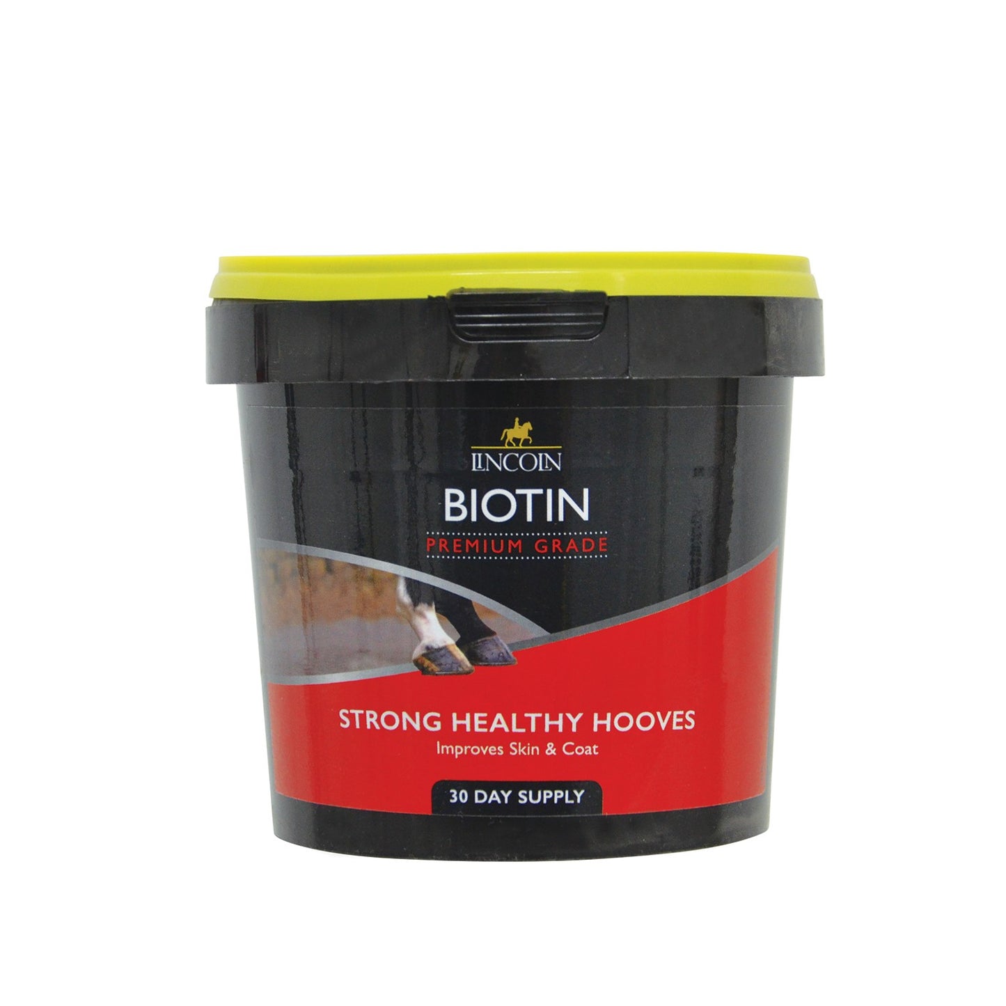 Lincoln Biotin - 600 Gm