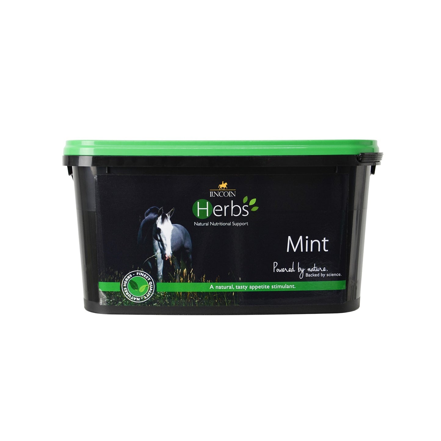 Lincoln Herbs Mint