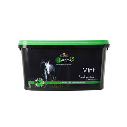 Lincoln Herbs Mint