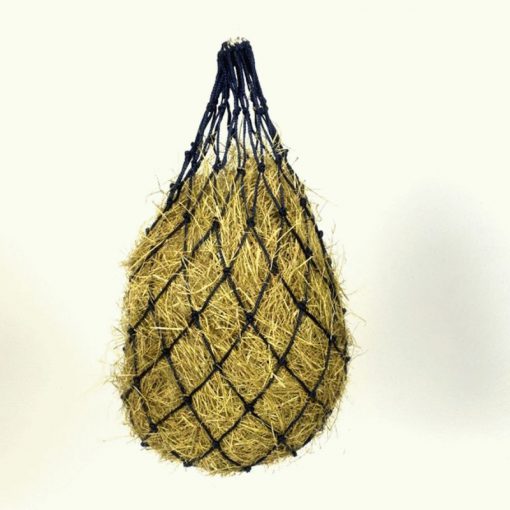 Equisential Normal Haynet