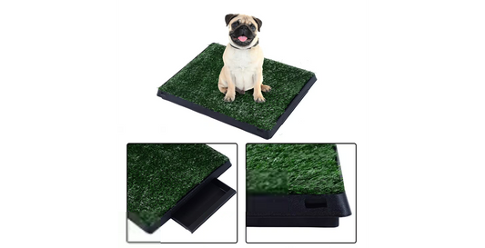 PawHut Dog Toilet Green, Black 630 mm x 510 mm