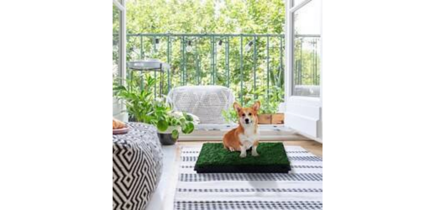 PawHut Dog Toilet Green, Black 630 mm x 510 mm