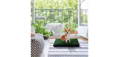 PawHut Dog Toilet Green, Black 630 mm x 510 mm