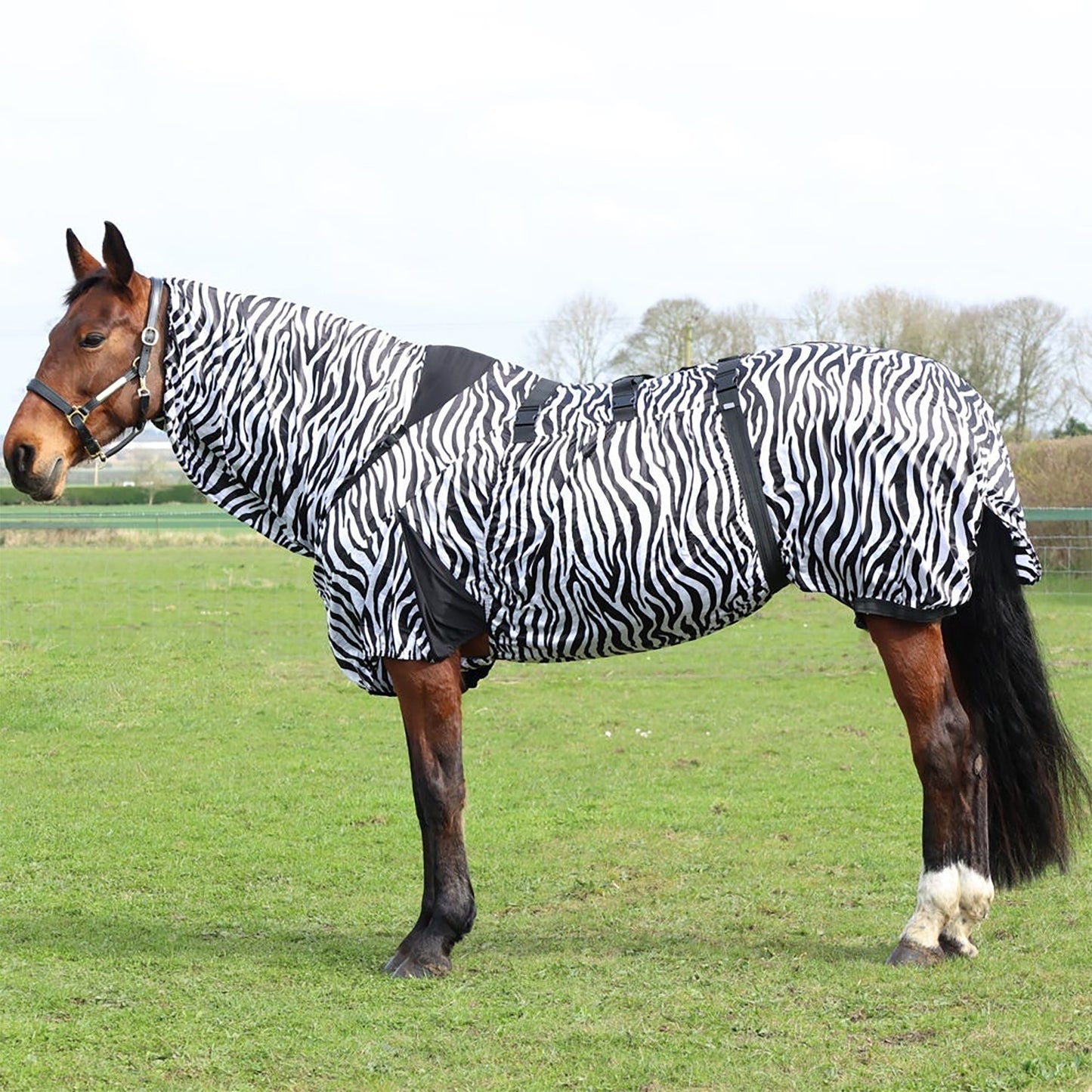 StormX Original Sweet Itch Zebra Rug Black/White