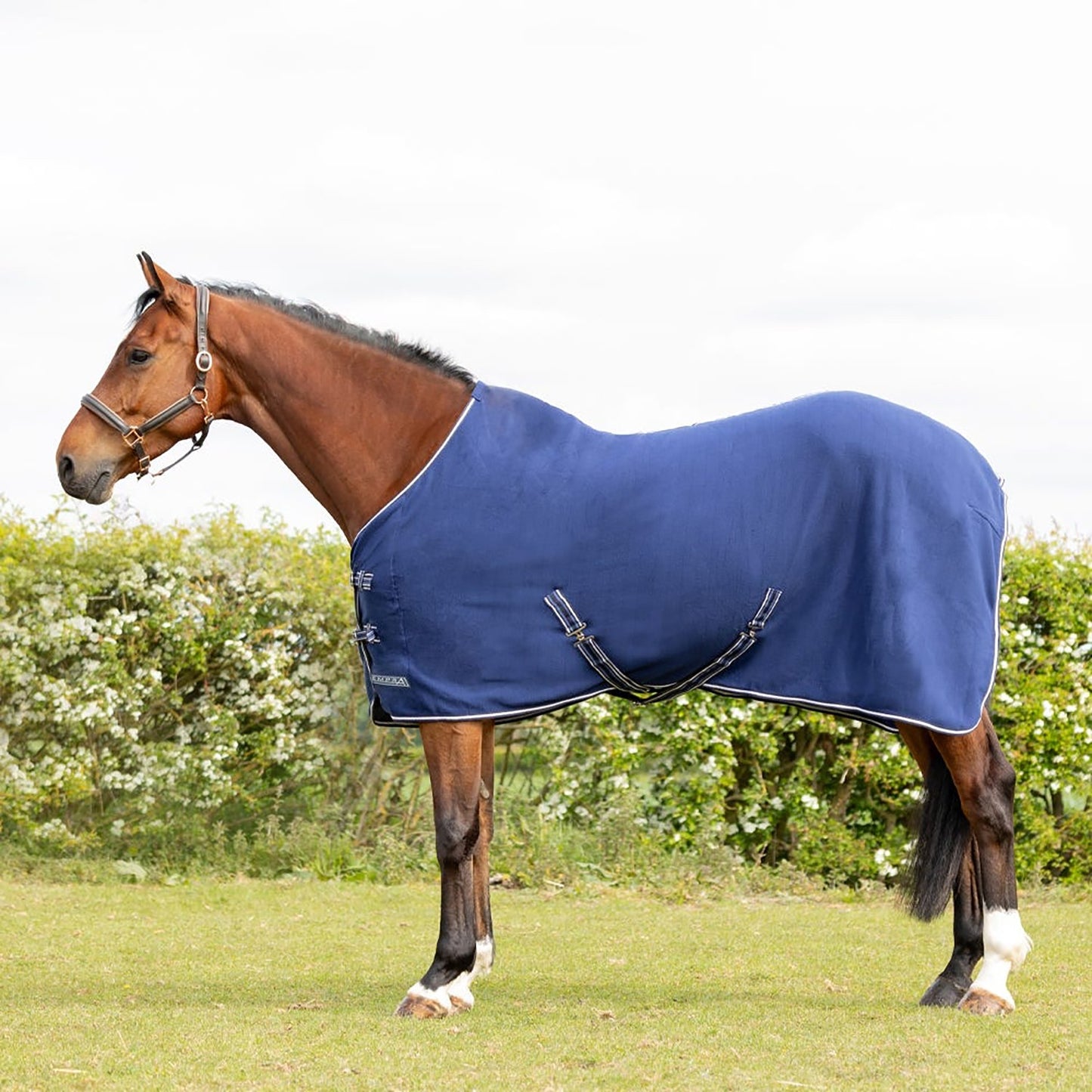 StormX Empra Opulence Fleece Rug Navy - 5' 6"