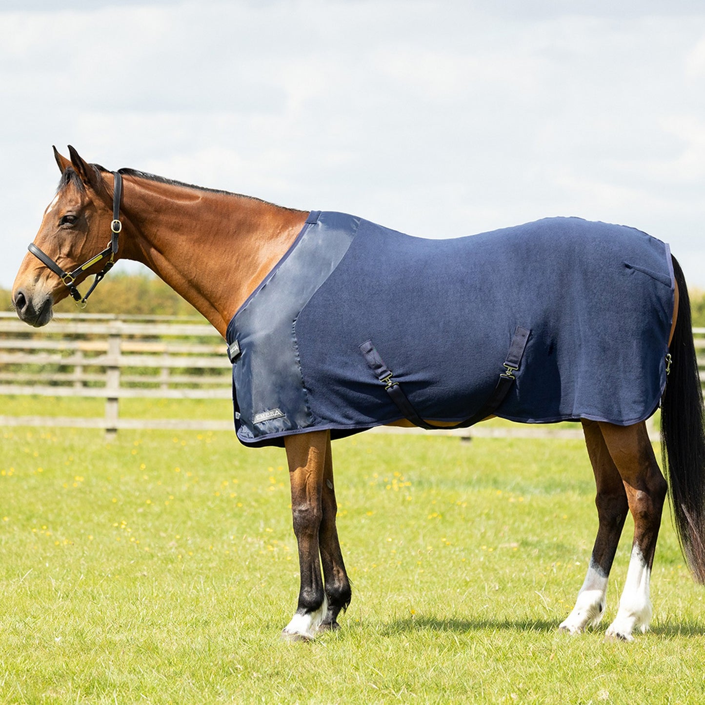 StormX Empra Salient Cooler Fleece Rug