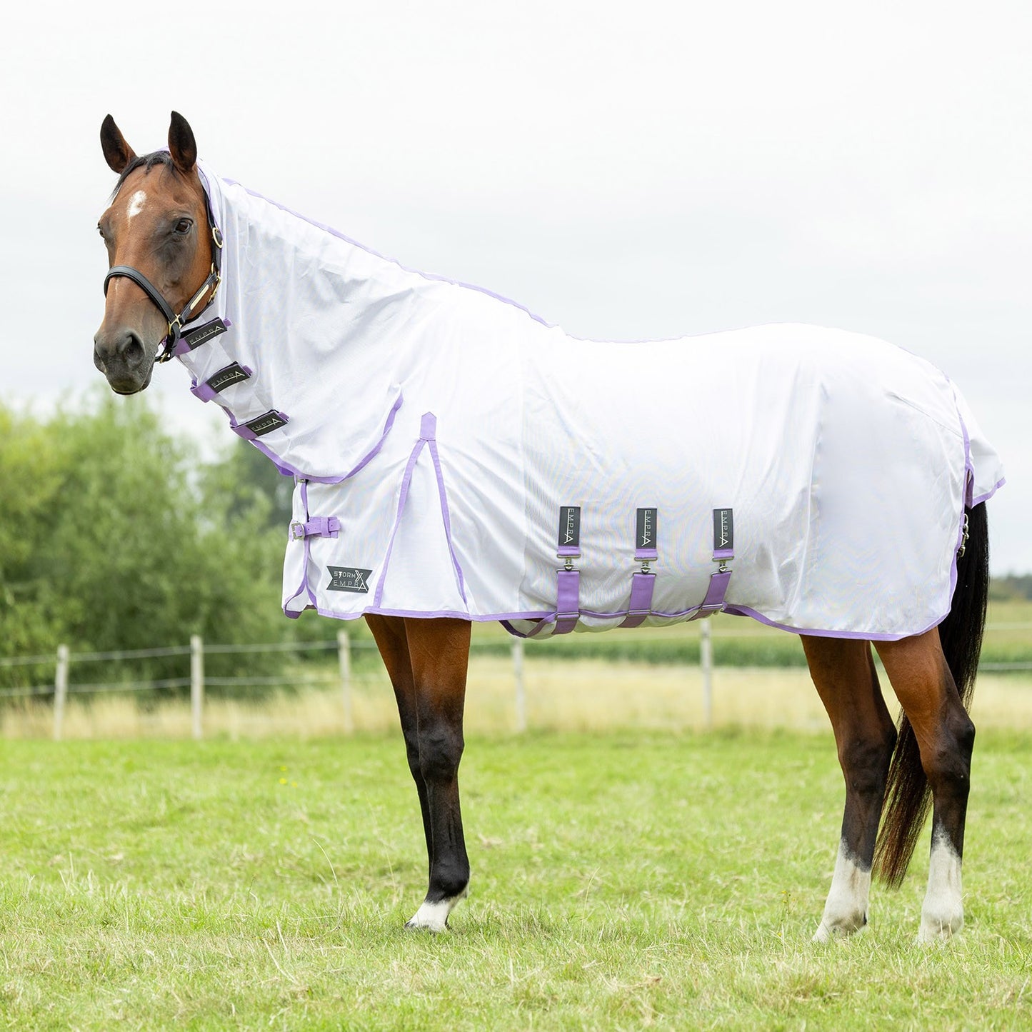 StormX Empra Gladiator UV Combi Fly Rug White/Lilac - 5' 6"