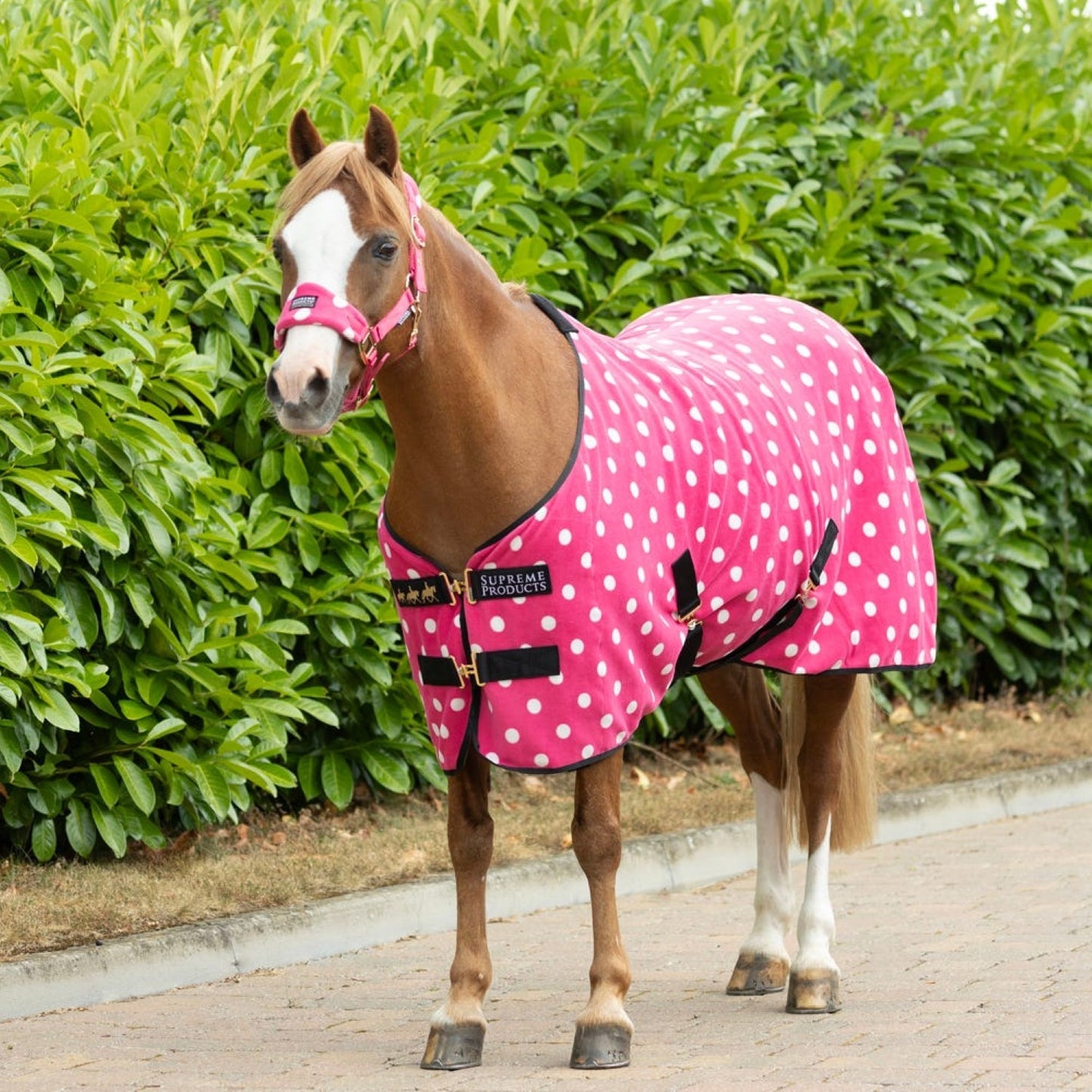 Supreme Products Dotty Fleece Rug