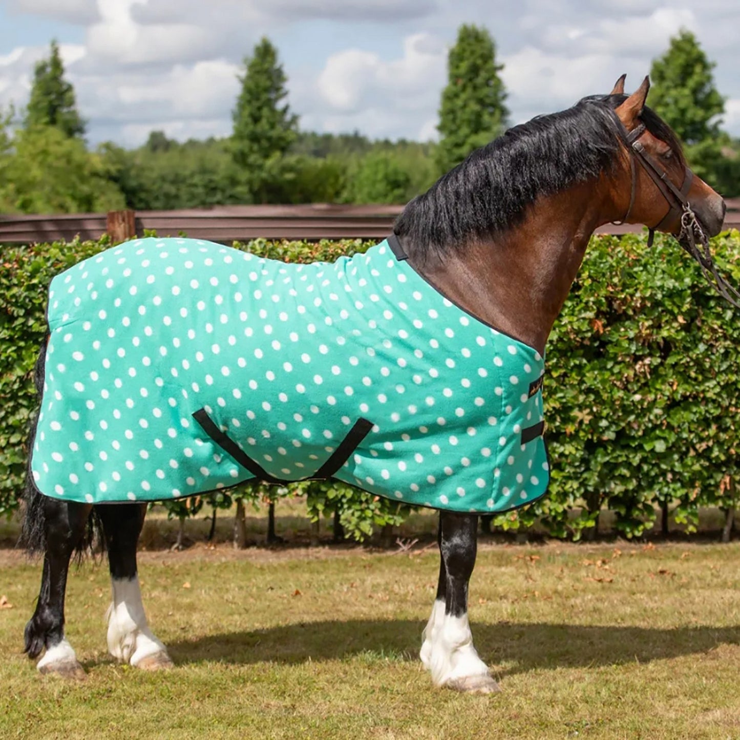 Supreme Products Dotty Fleece Rug Gorgeous Green - 3' 9"