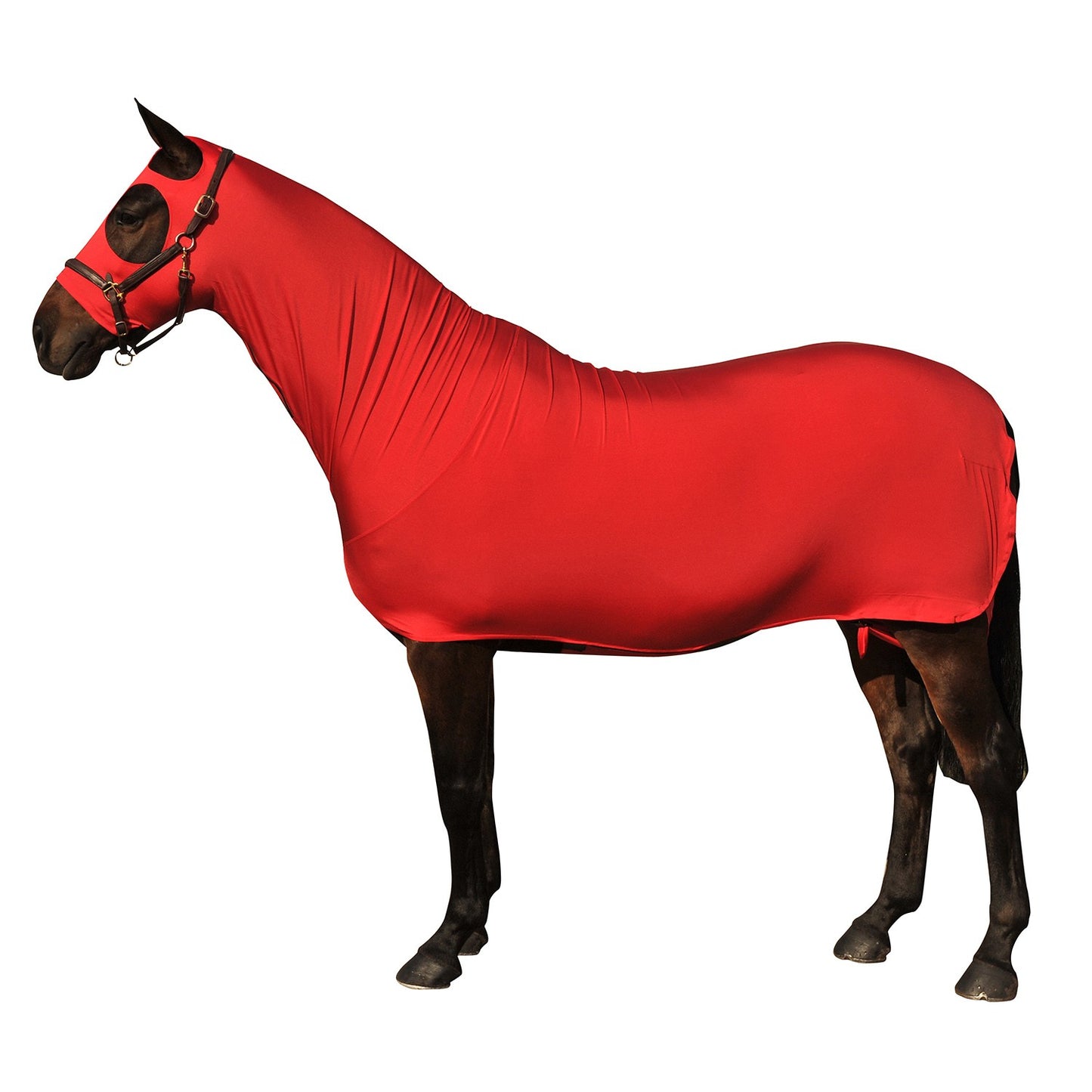 Supreme Products Body Wrap Red - 15.2 Hh