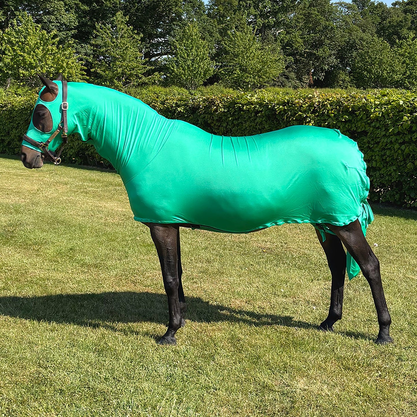 Supreme Products Body Wrap Emerald - 13.2 Hh