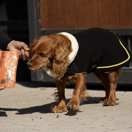 Supreme Products Royal Occasion Fleece Dog Coat