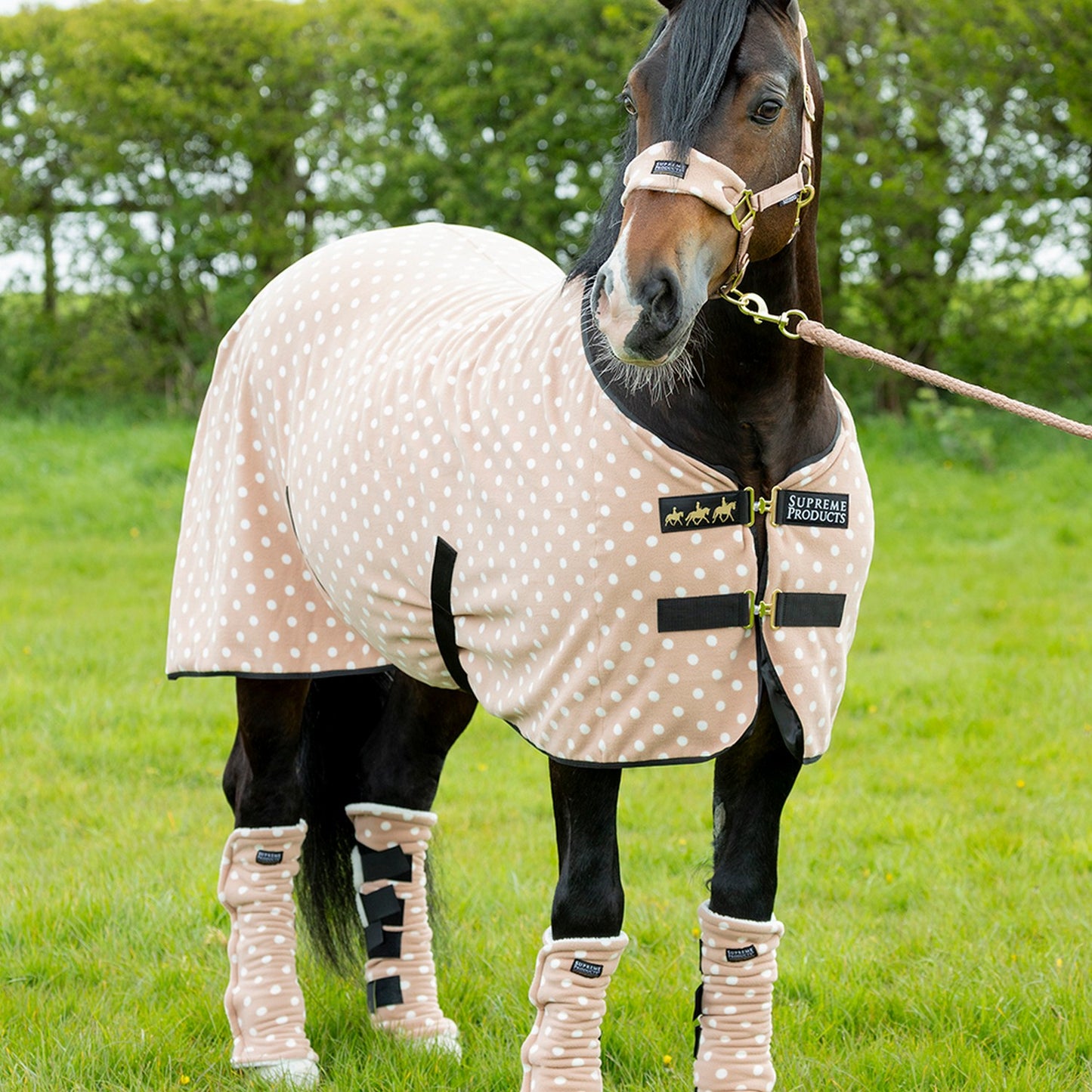 Supreme Products Dotty Fleece Rug