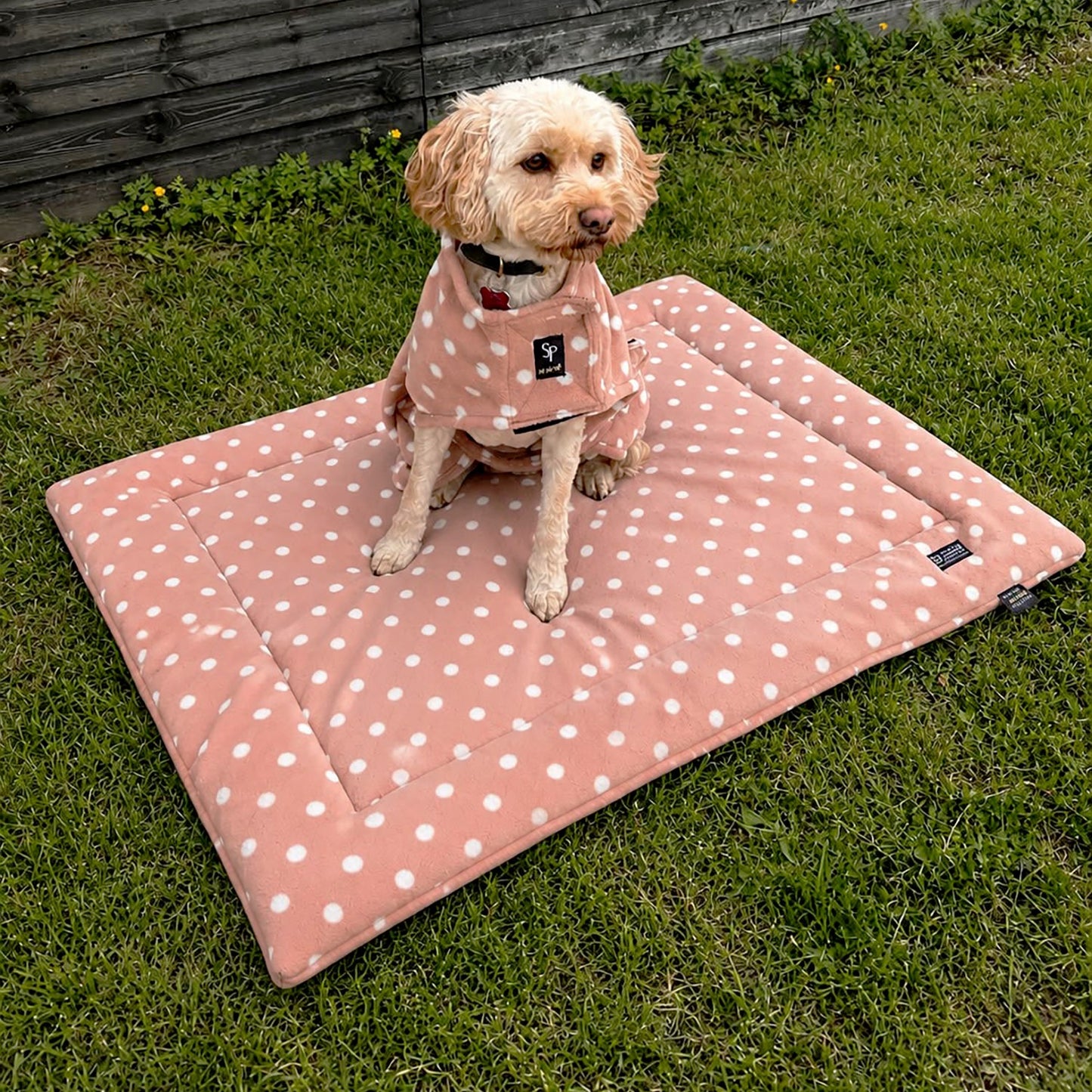 Supreme Products Dotty Fleece Dog Bed Luxurious Latte - 60 x 80 Cm