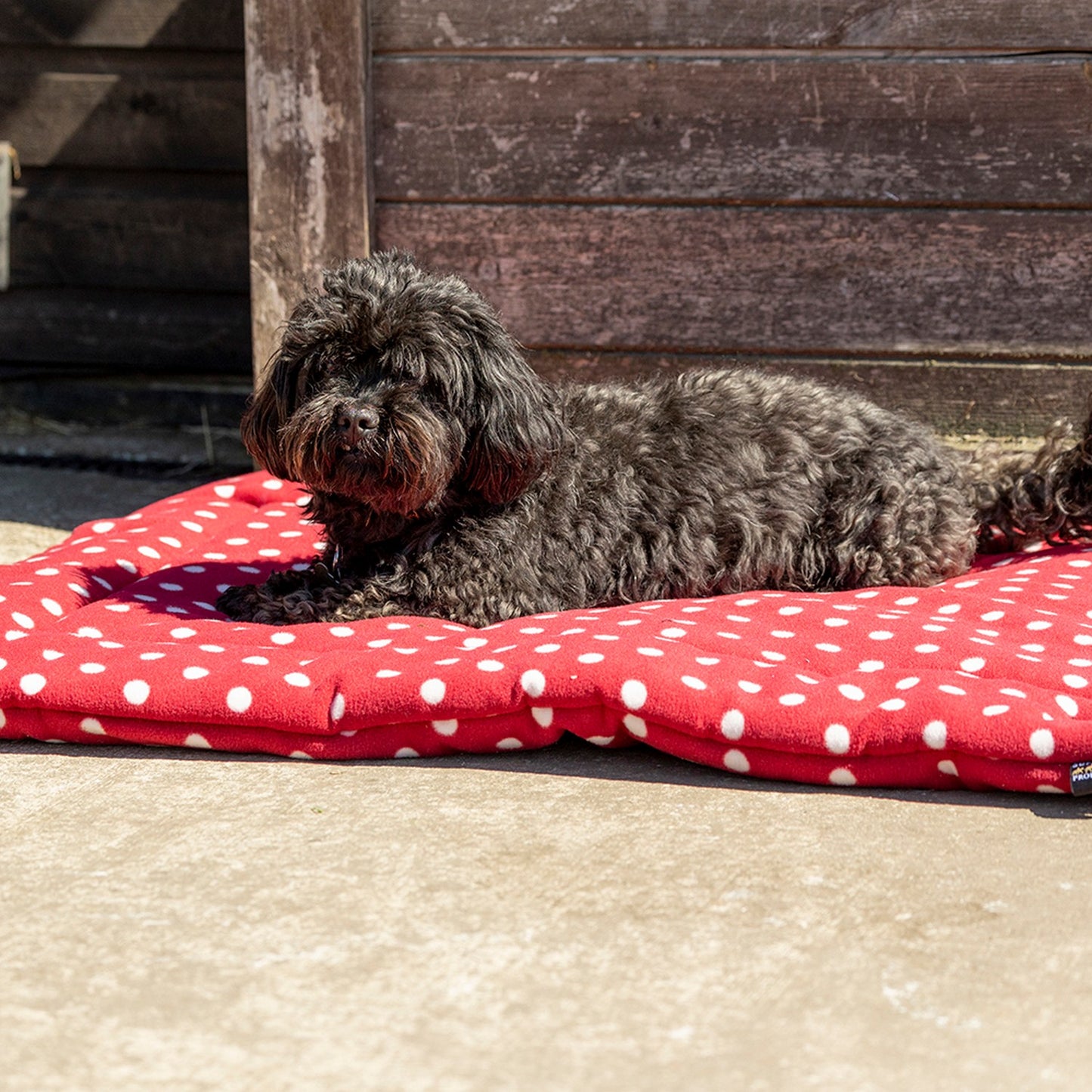 Supreme Products Dotty Fleece Dog Bed Rich Raspberry - 80 x 100 Cm