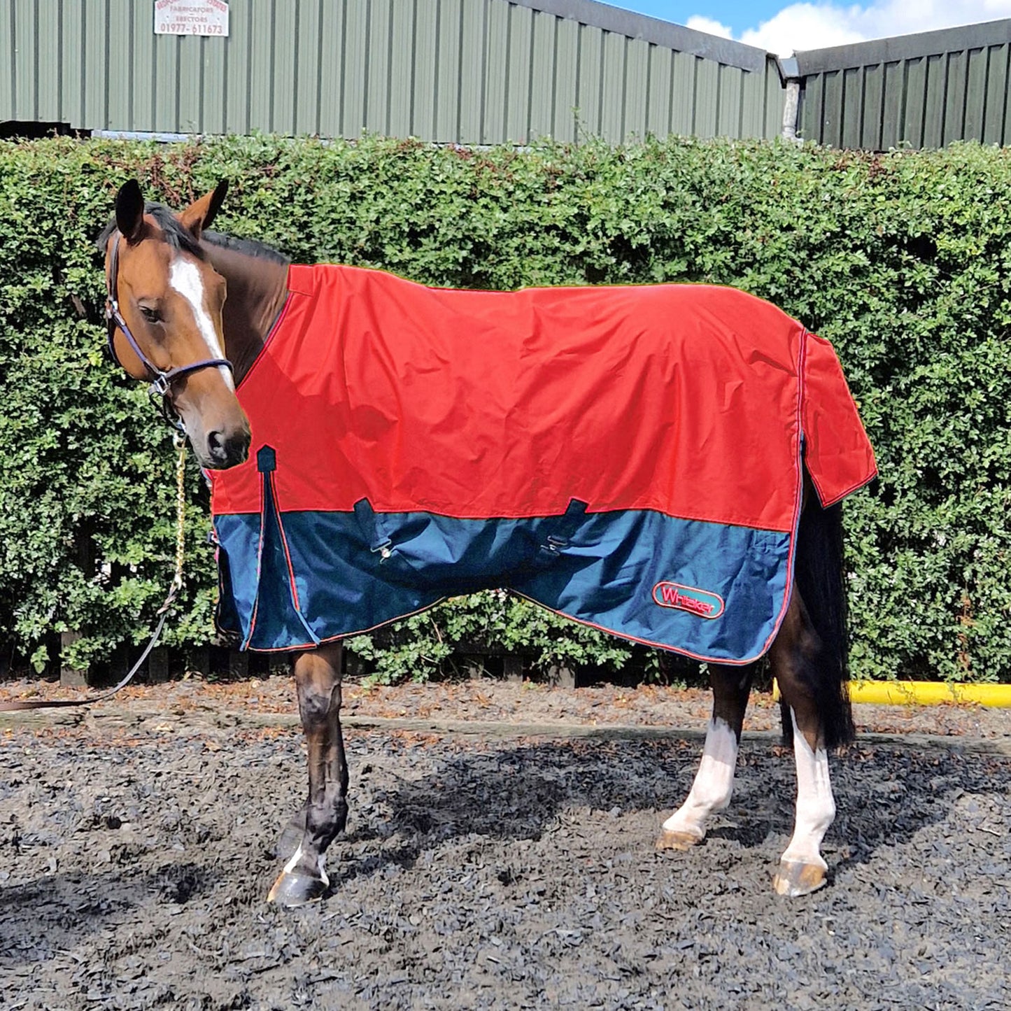 Whitaker Rudston Turnout Rug 50 Gm Red