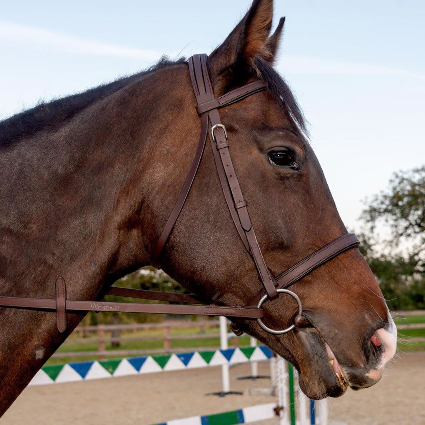 Whitaker Ready to Ride Snaffle Bridle