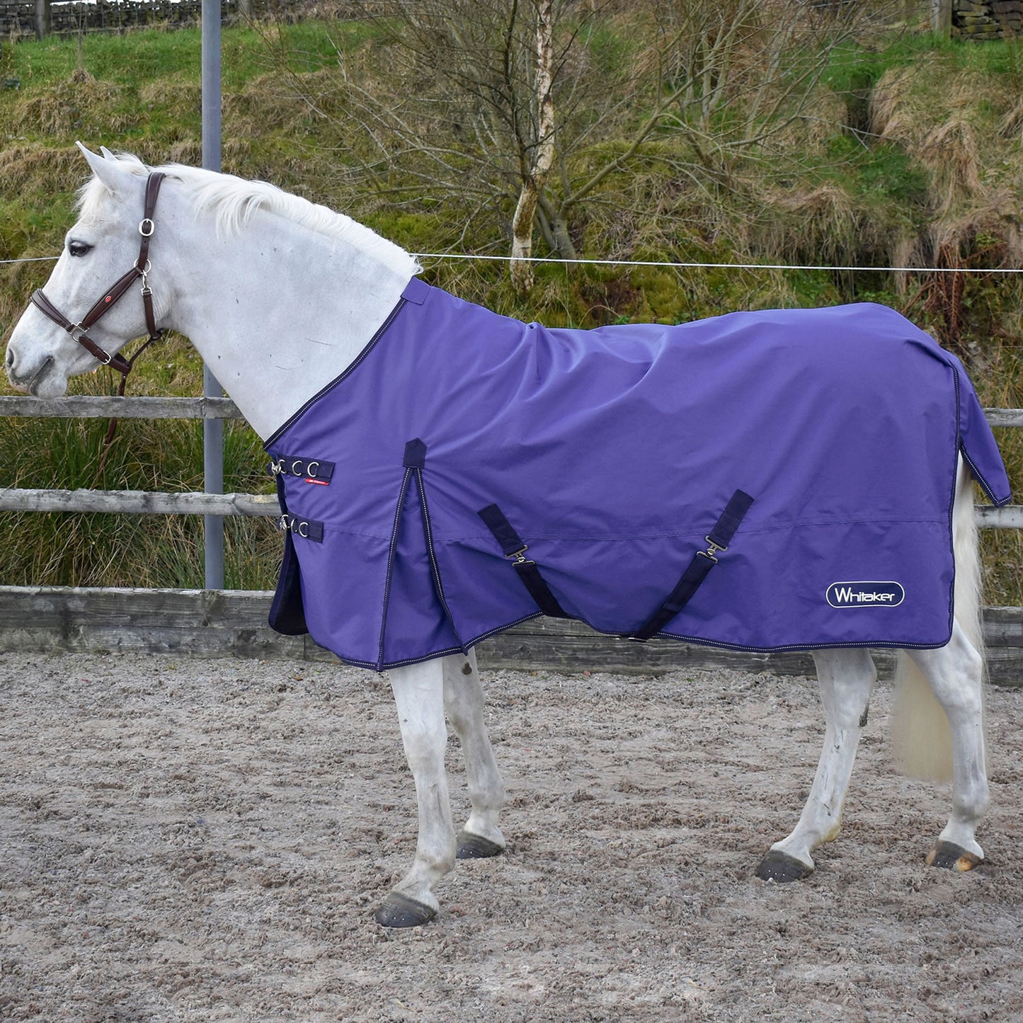 Whitaker Rastrick Turnout Rug 0 Gm Purple