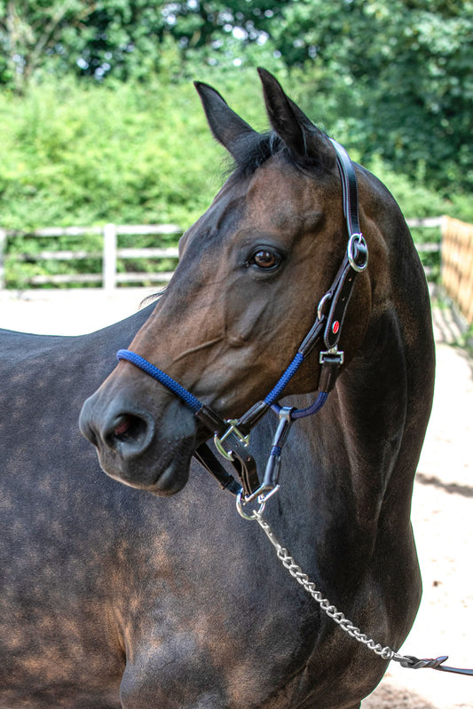 Whitaker HC065 Raywell Soft Rope Headcollar Brown/Navy
