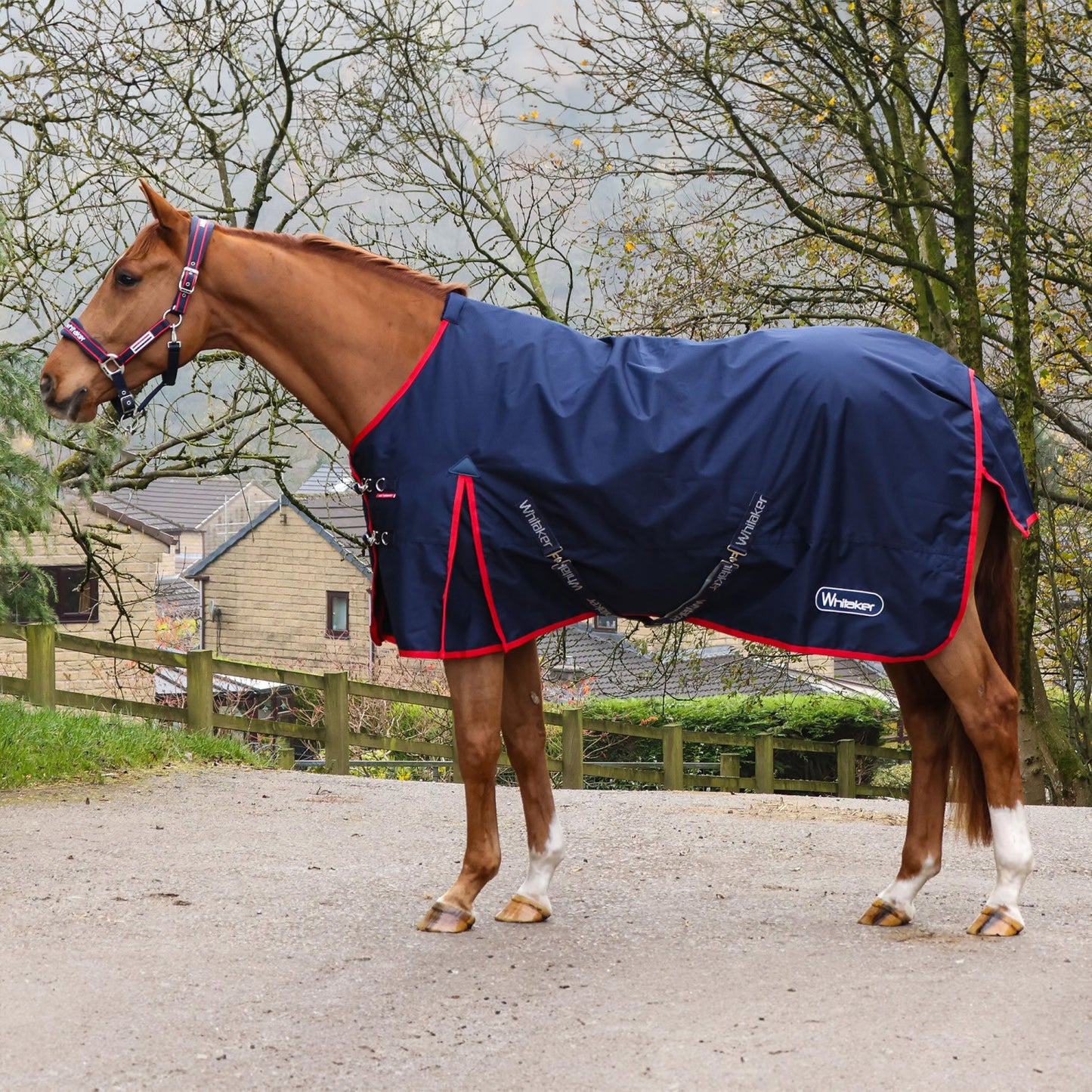 Whitaker R440 Rastrick V2 0g Turnout Rug Navy