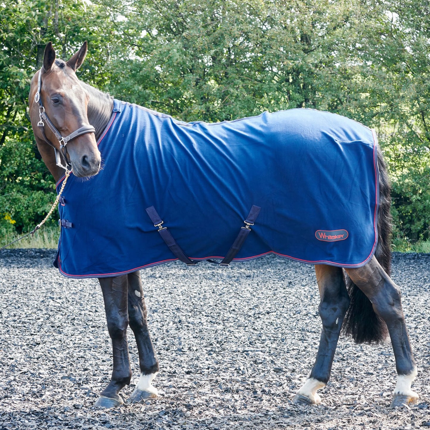 Whitaker Fleece Rug Rastrick Navy/Reflective R204
