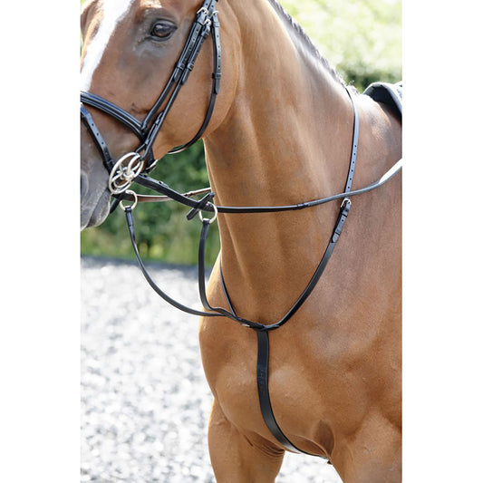 Whitaker MA077 Barton Martingale