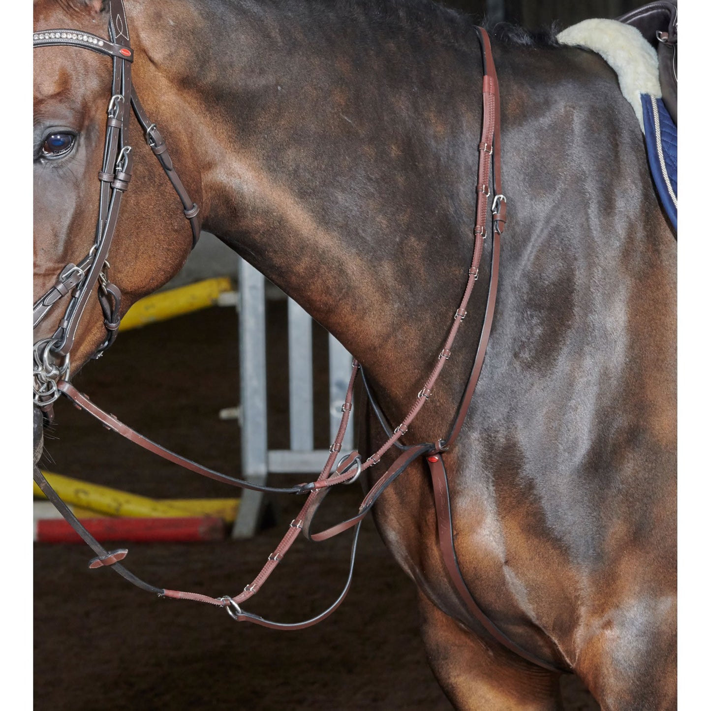Whitaker MA077 Barton Martingale