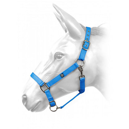 Whitaker HCW01 W-Horse Harvey Headcollar