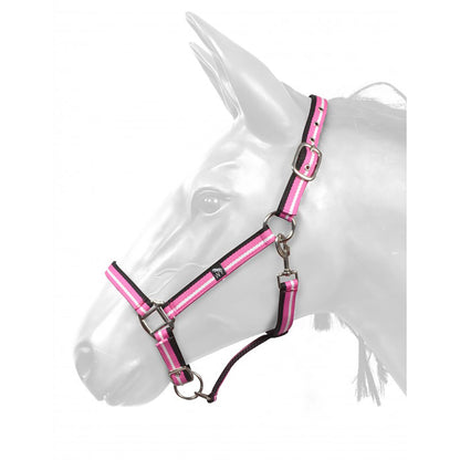 Whitaker HCW01 W-Horse Harvey Headcollar