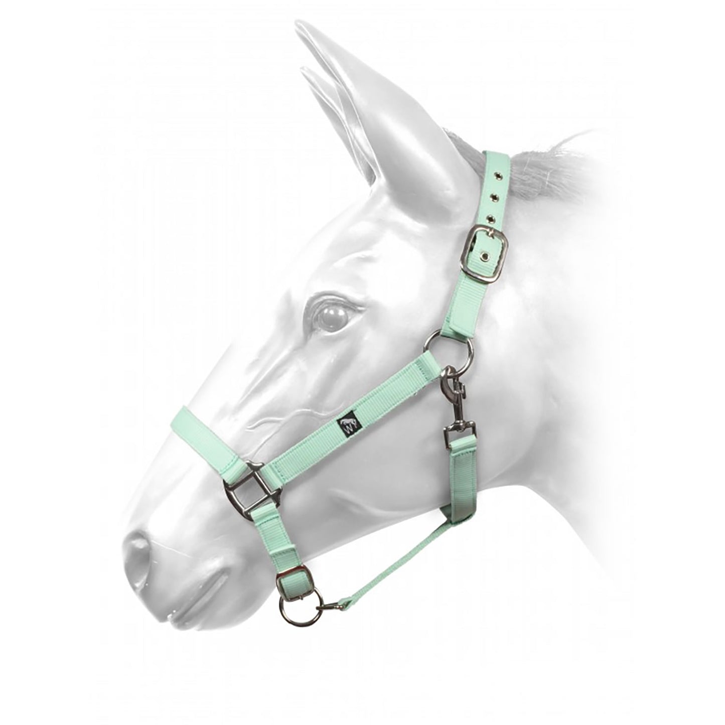 Whitaker HCW01 W-Horse Harvey Headcollar