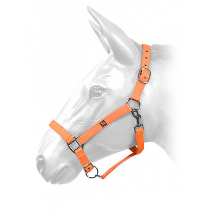 Whitaker HCW01 W-Horse Harvey Headcollar