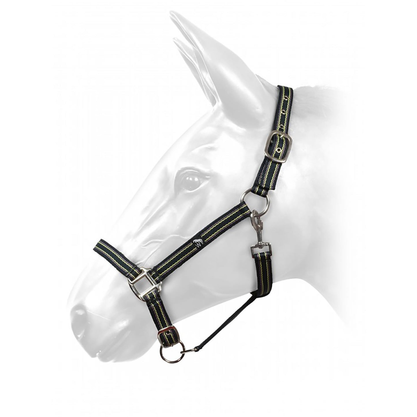 Whitaker HCW01 W-Horse Harvey Headcollar