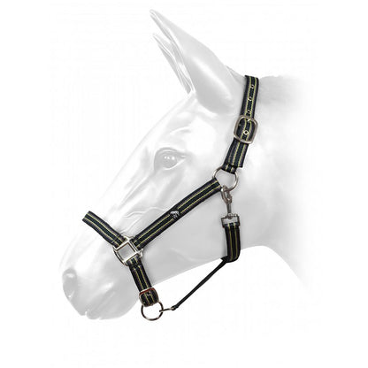 Whitaker HCW01 W-Horse Harvey Headcollar
