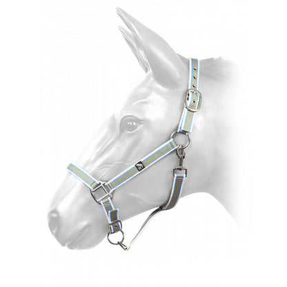Whitaker HCW01 W-Horse Harvey Headcollar
