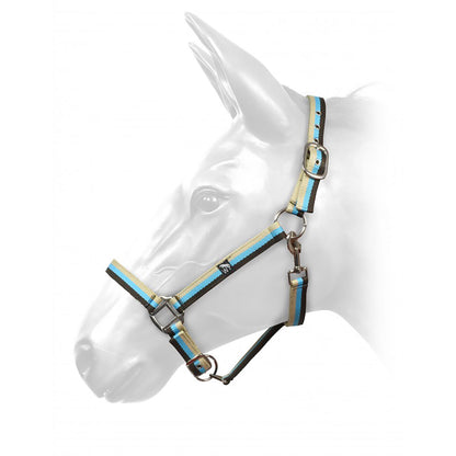 Whitaker HCW01 W-Horse Harvey Headcollar
