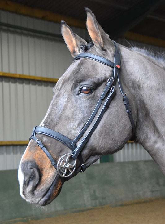Whitaker Ready to Ride Leather Snaffle Bridle BR056