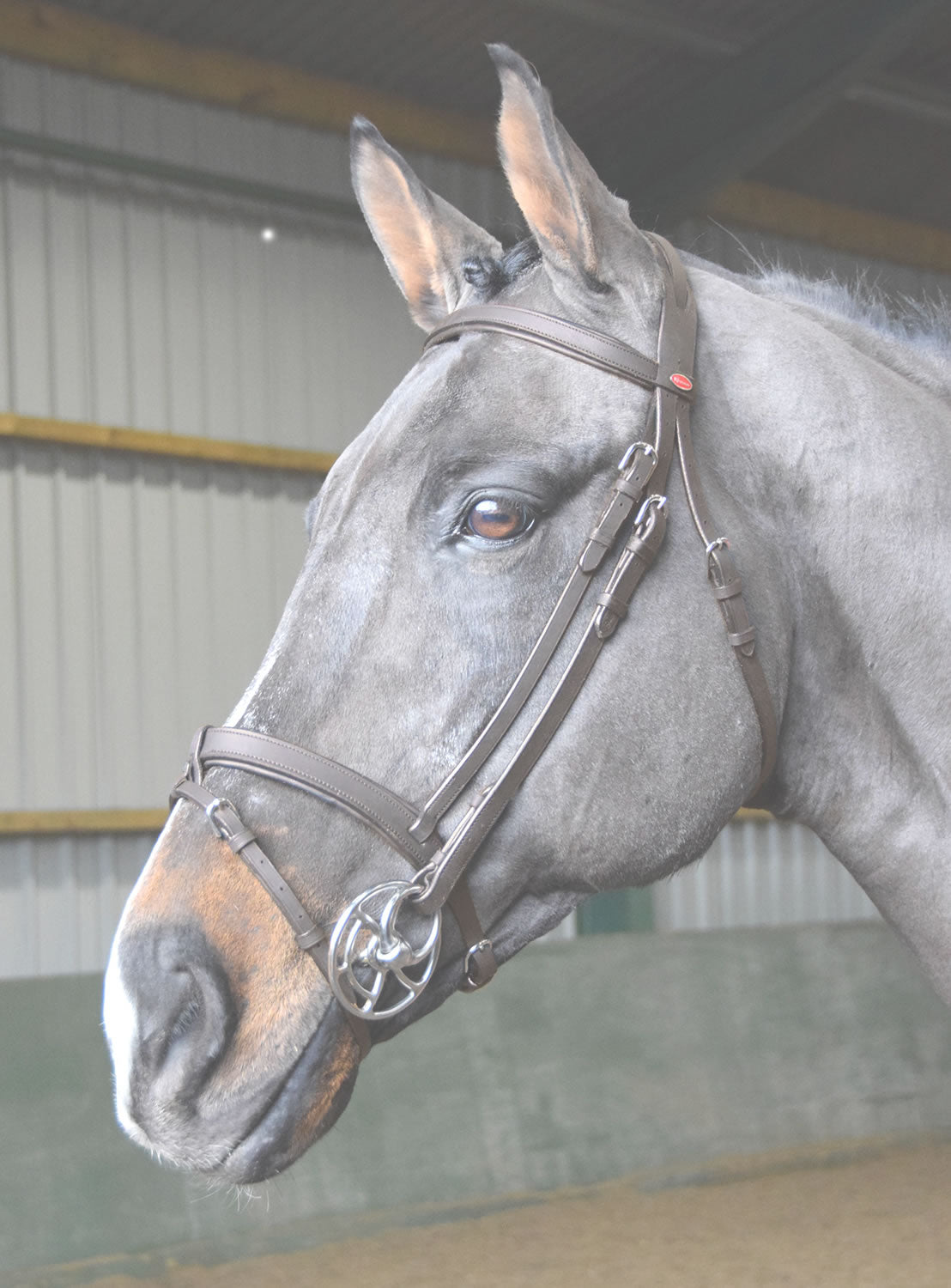 Whitaker Ready to Ride Leather Snaffle Bridle BR056