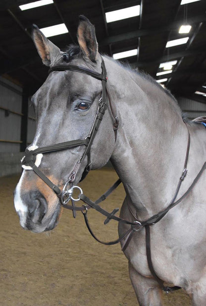 Whitaker Ready To Ride Martingale MA054